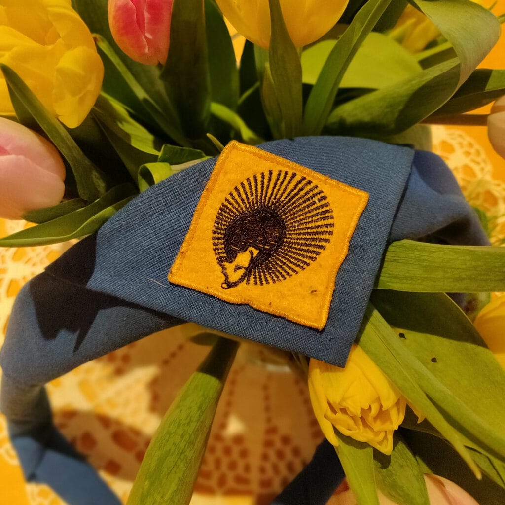 Partioviikko 2022 - Lue lisää