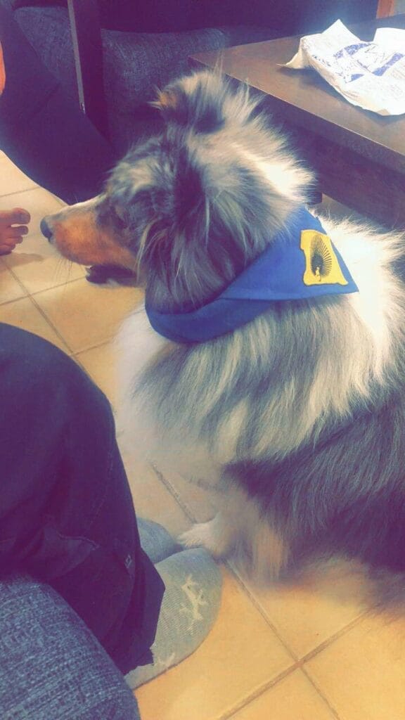 Uusien infoilta 2024 - Lue lisää