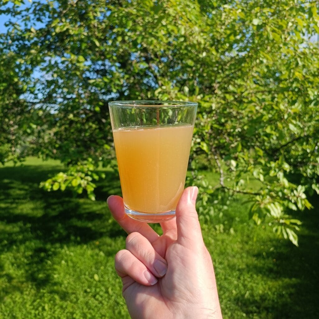 Mehuasema auKeaa 20.8. - Lue lisää